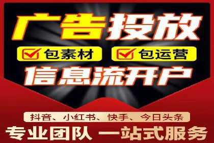 谷歌竞价广告的投放策略与成功案例分析